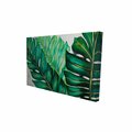 Fondo 12 x 18 in. Three Big Exotic Plant Leaves-Print on Canvas FO2783853